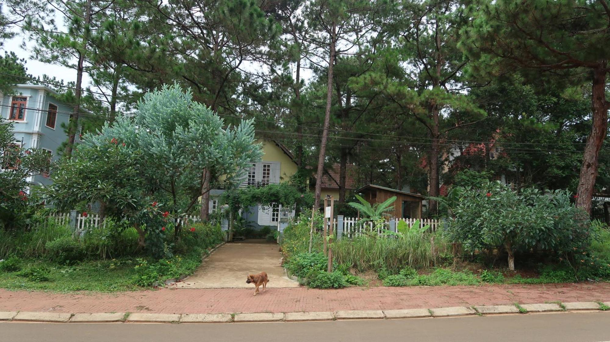 La Maison Homestay Mang Den Kon Tum Bagian luar foto