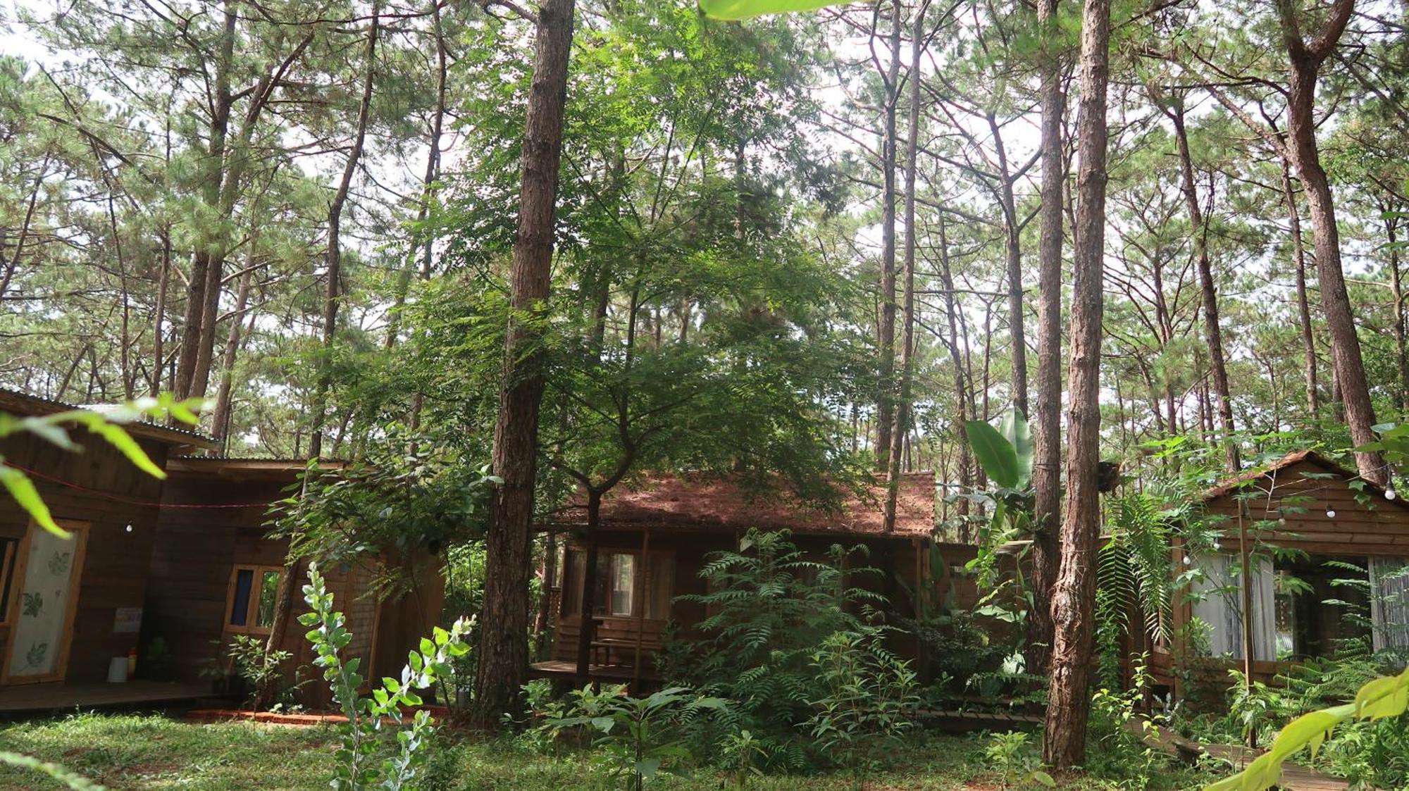La Maison Homestay Mang Den Kon Tum Bagian luar foto