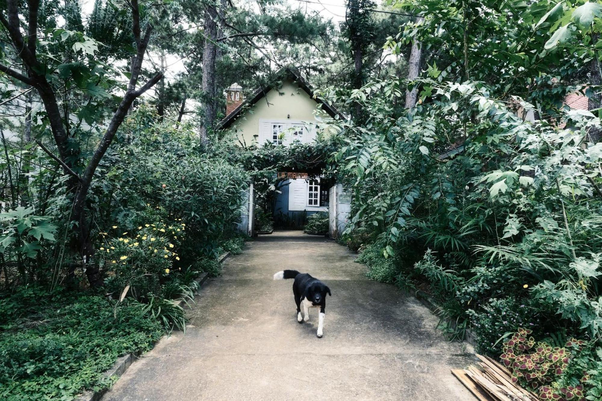 La Maison Homestay Mang Den Kon Tum Bagian luar foto
